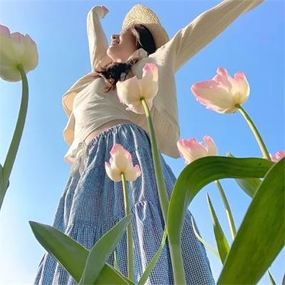 蓬车英雄传