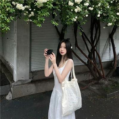 盖世霸王